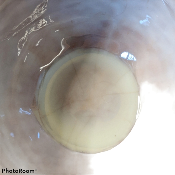 STANGL DELLA-WARE Cabbage Leaf Teacup & Saucer Set - Picture 9 of 13